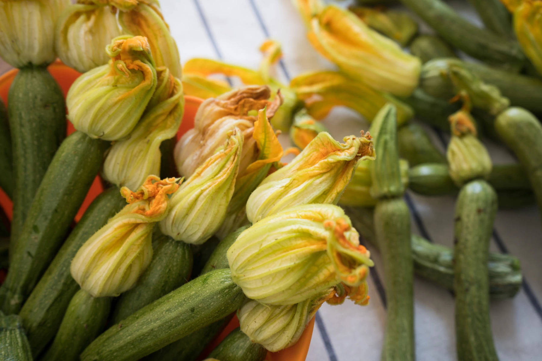 A flower in the kitchen