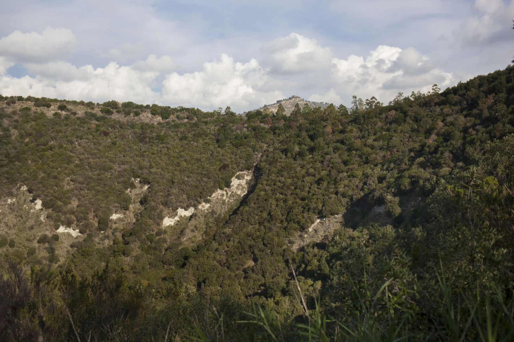 La montagna nuova 