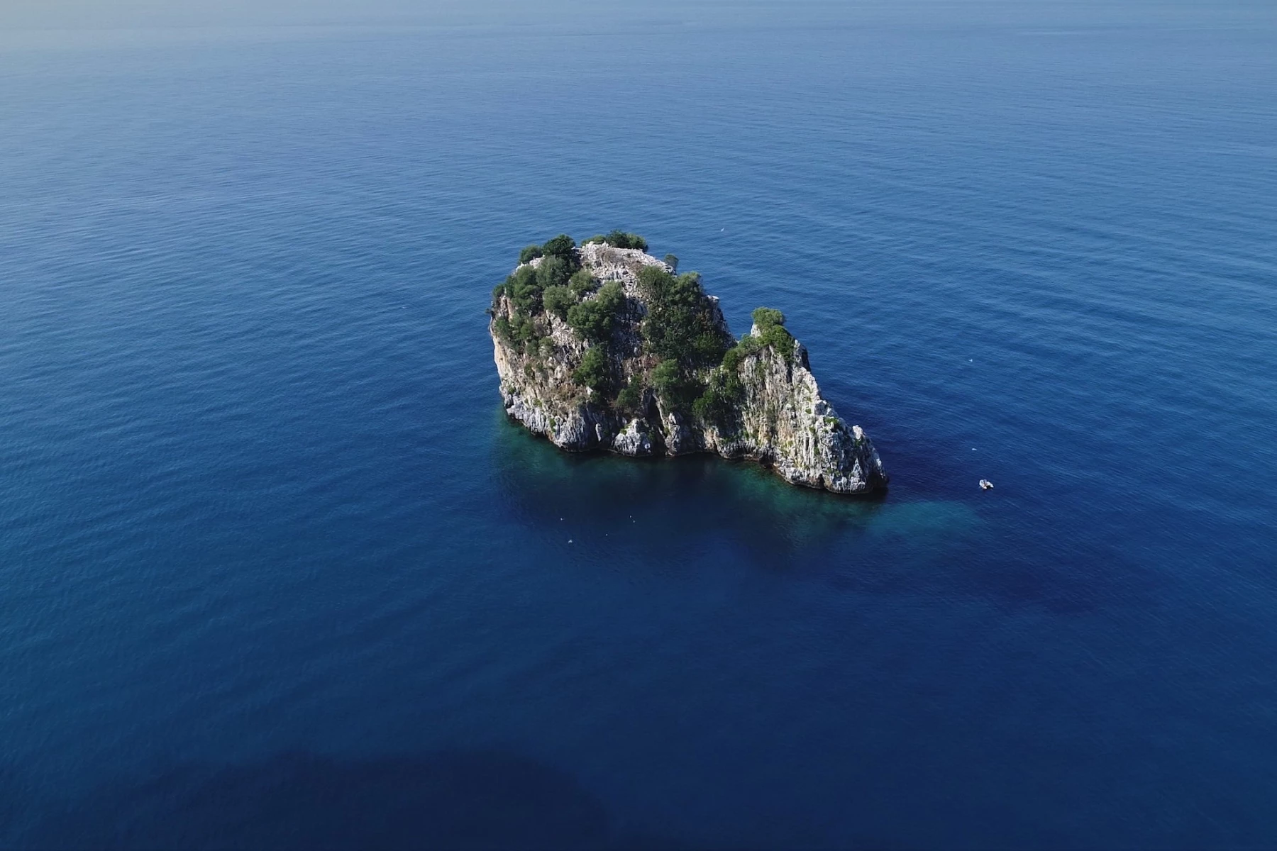 Un coniglio in mezzo al mare