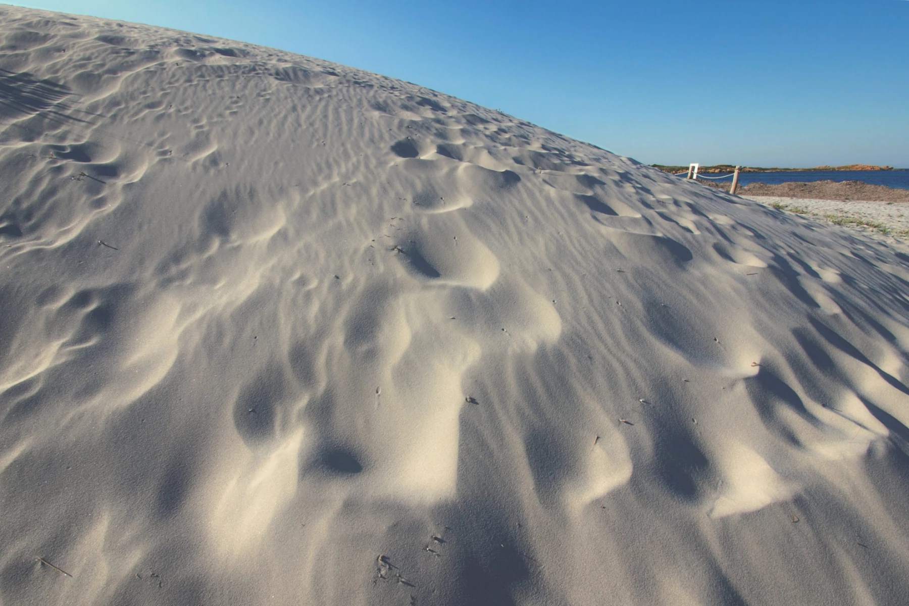 Dietro il faro, fra le dune