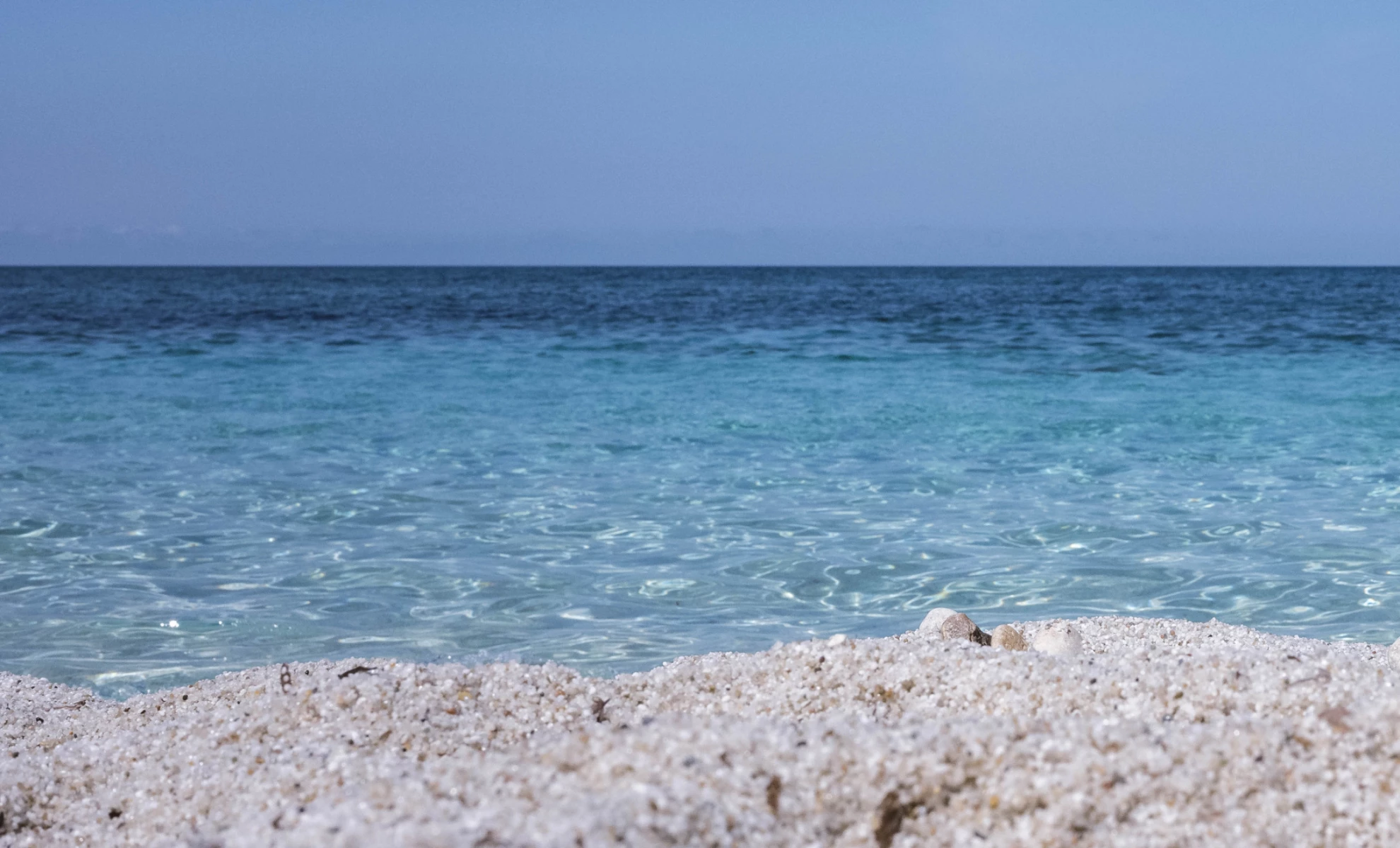 La spiaggia di riso