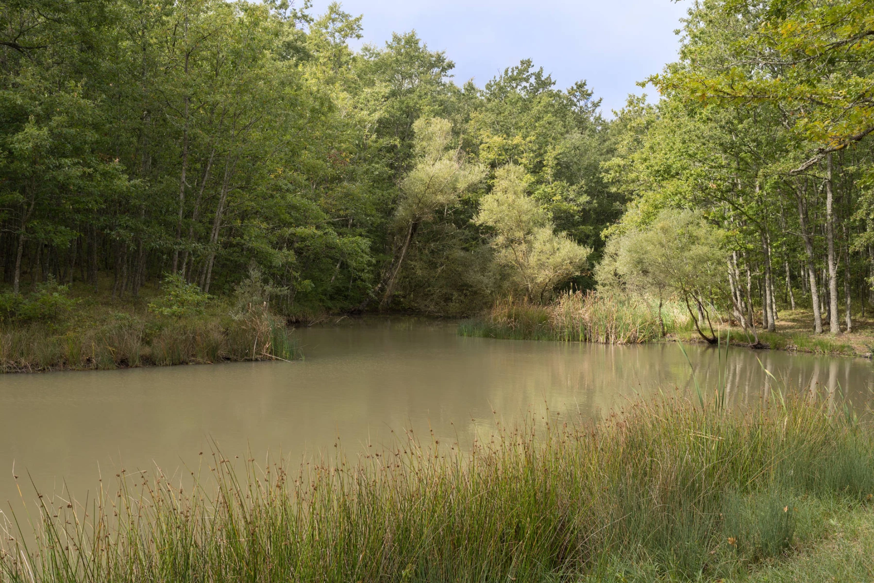 L’autunno al lago