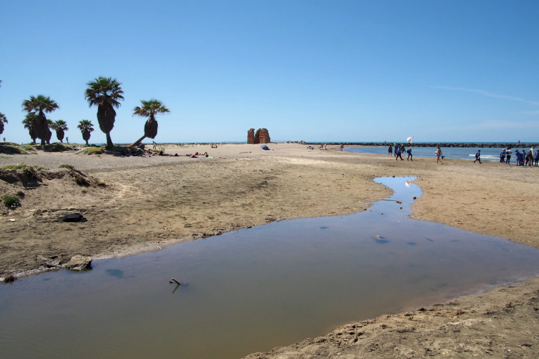 Le dune di Torre Flavia