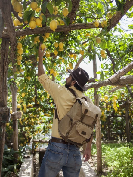 Sul Sentiero dei Limoni