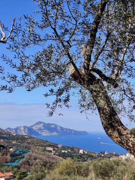 Gli angoli nascosti di Sant'Agata sui Due Golfi