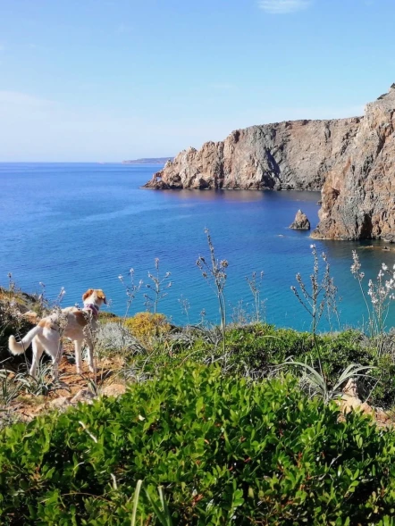 Pasquetta sarda: trekking e maialetto