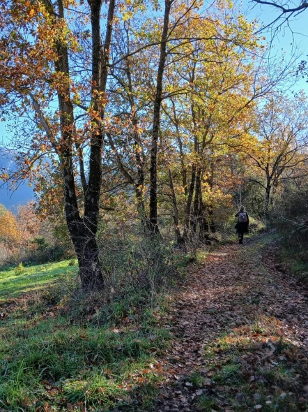 Sulle tracce dell'Anno Nuovo: il Cilento in trekking