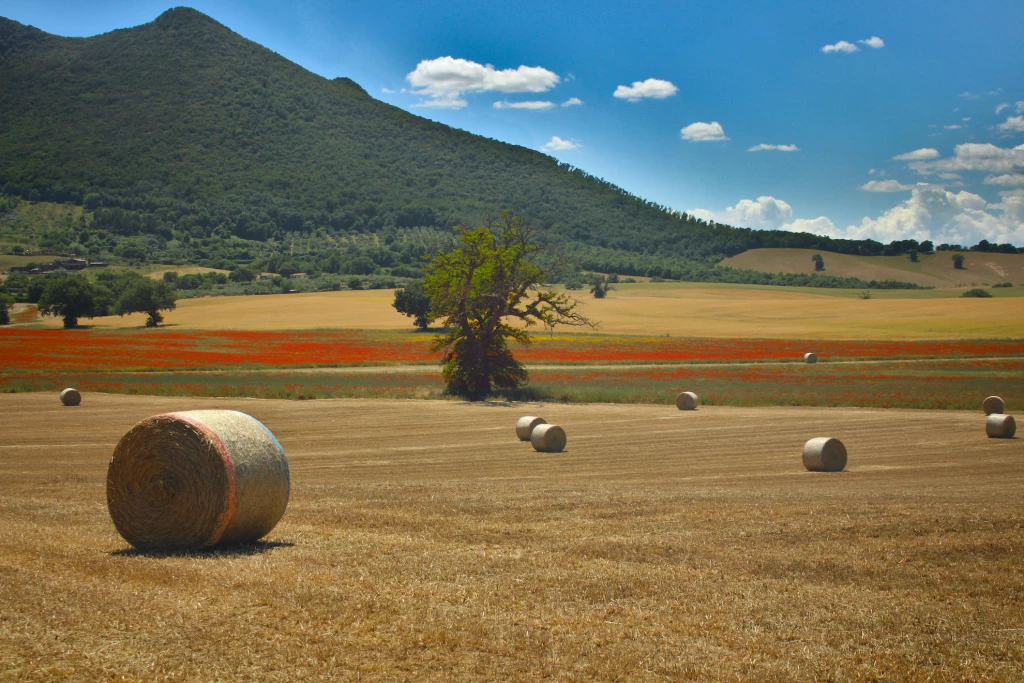 Le storie del Monte Soratte