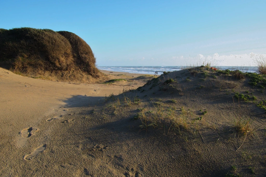 La libertà tra le dune