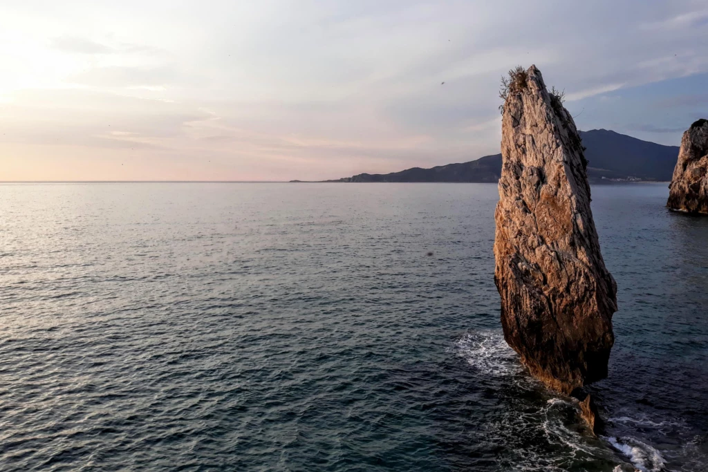 Un'aquila in mezzo al mare