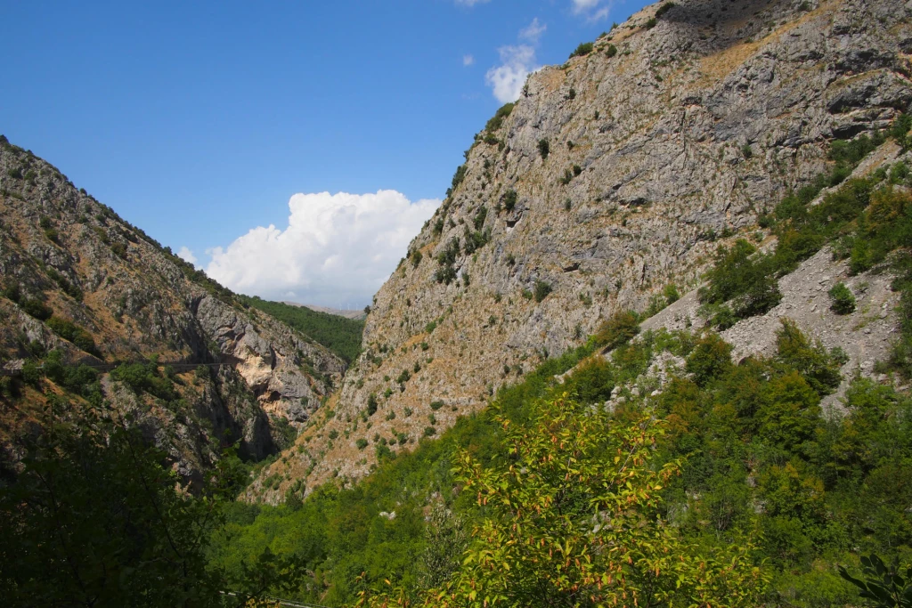 The biodiversity of the Sagittario Valley