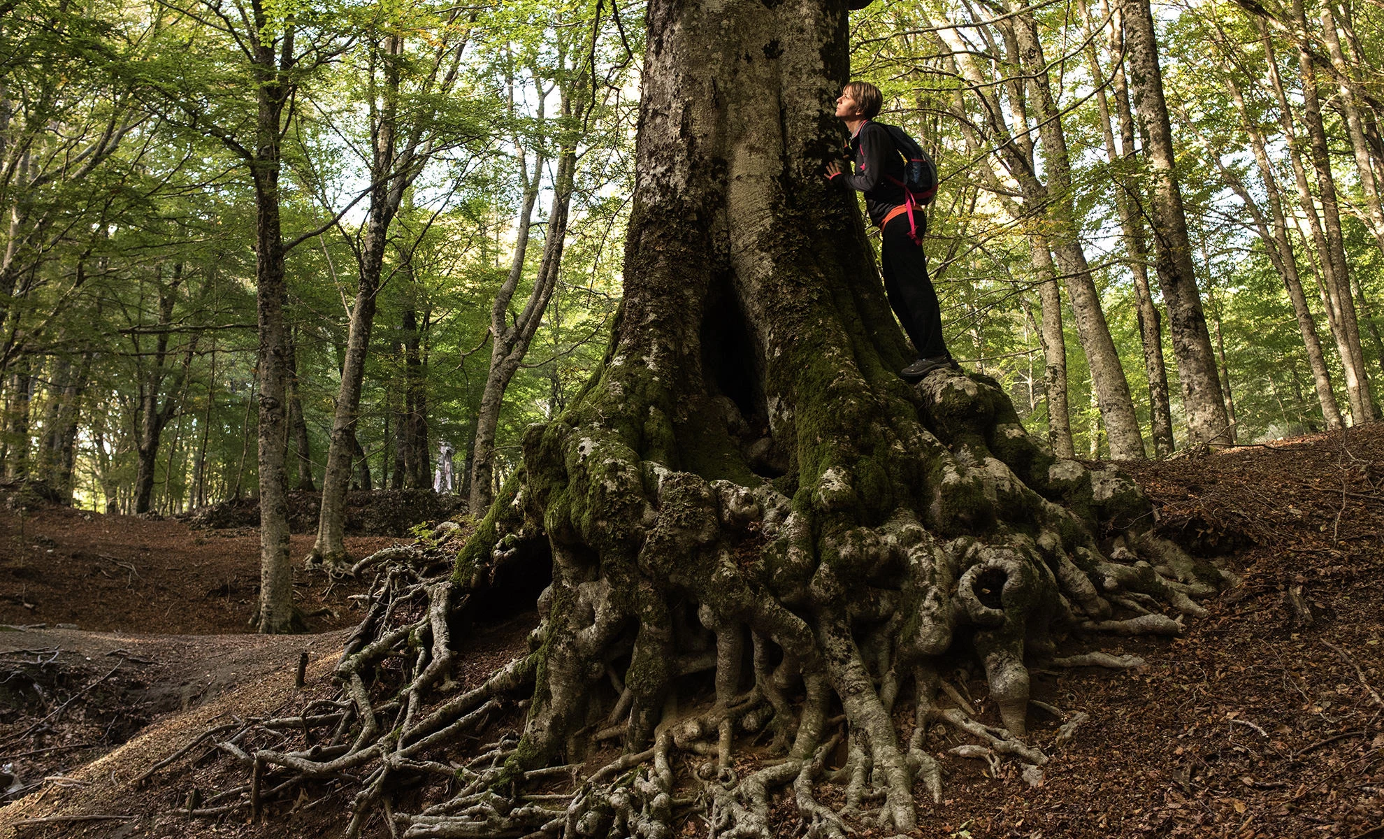 I Guardiani del Faito
