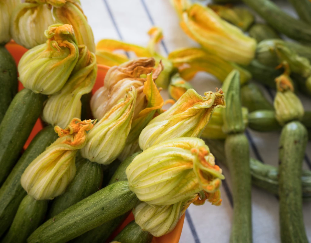 A flower in the kitchen
