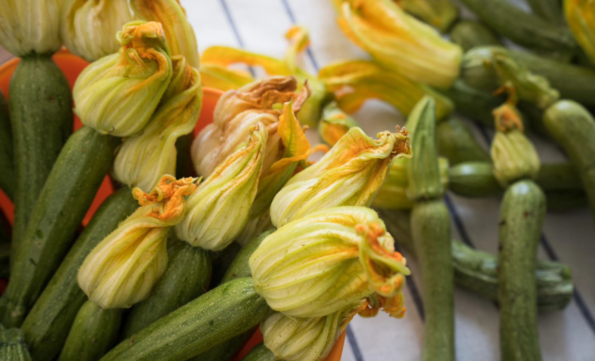 La cucina in un fiore