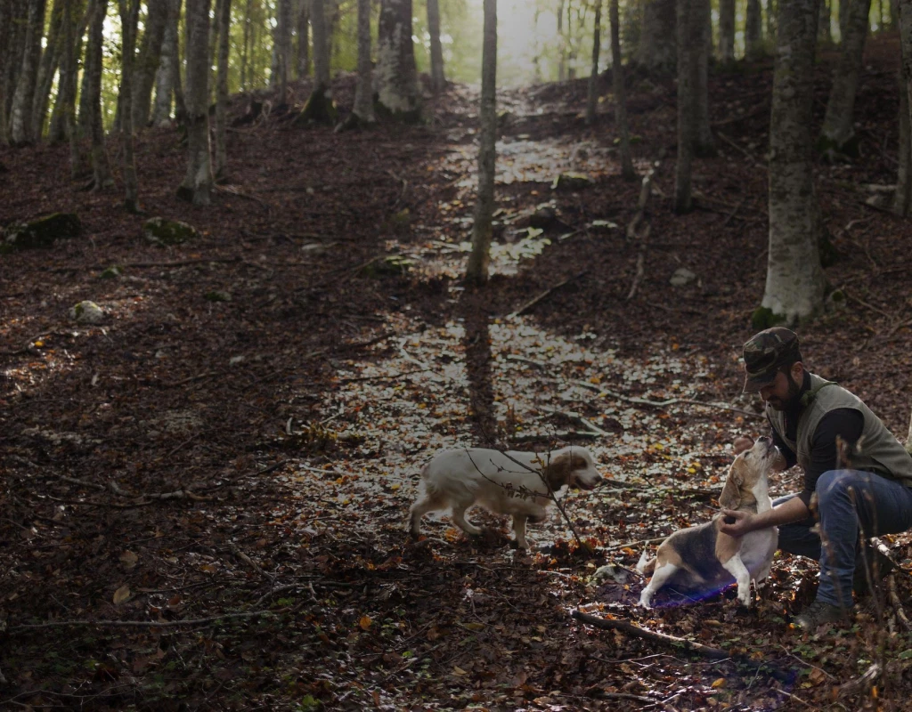 Hunting for black gold