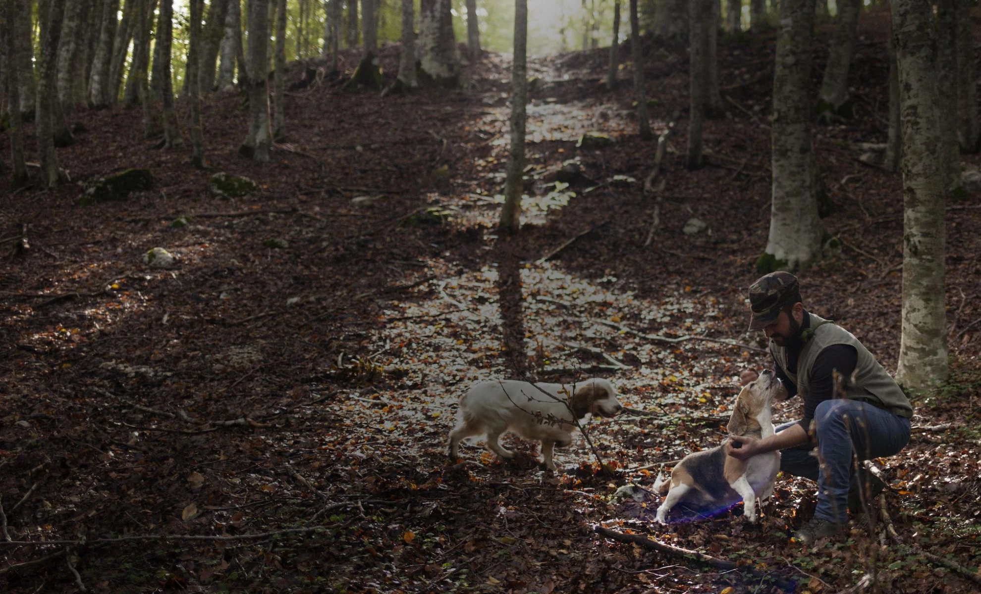 Hunting for black gold