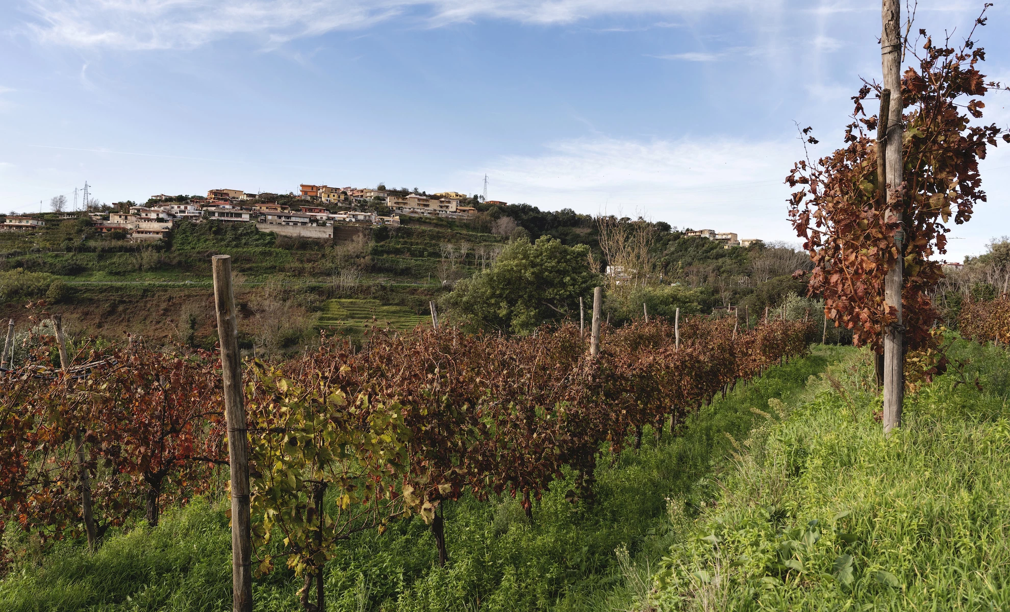 Tra vigne e leggende