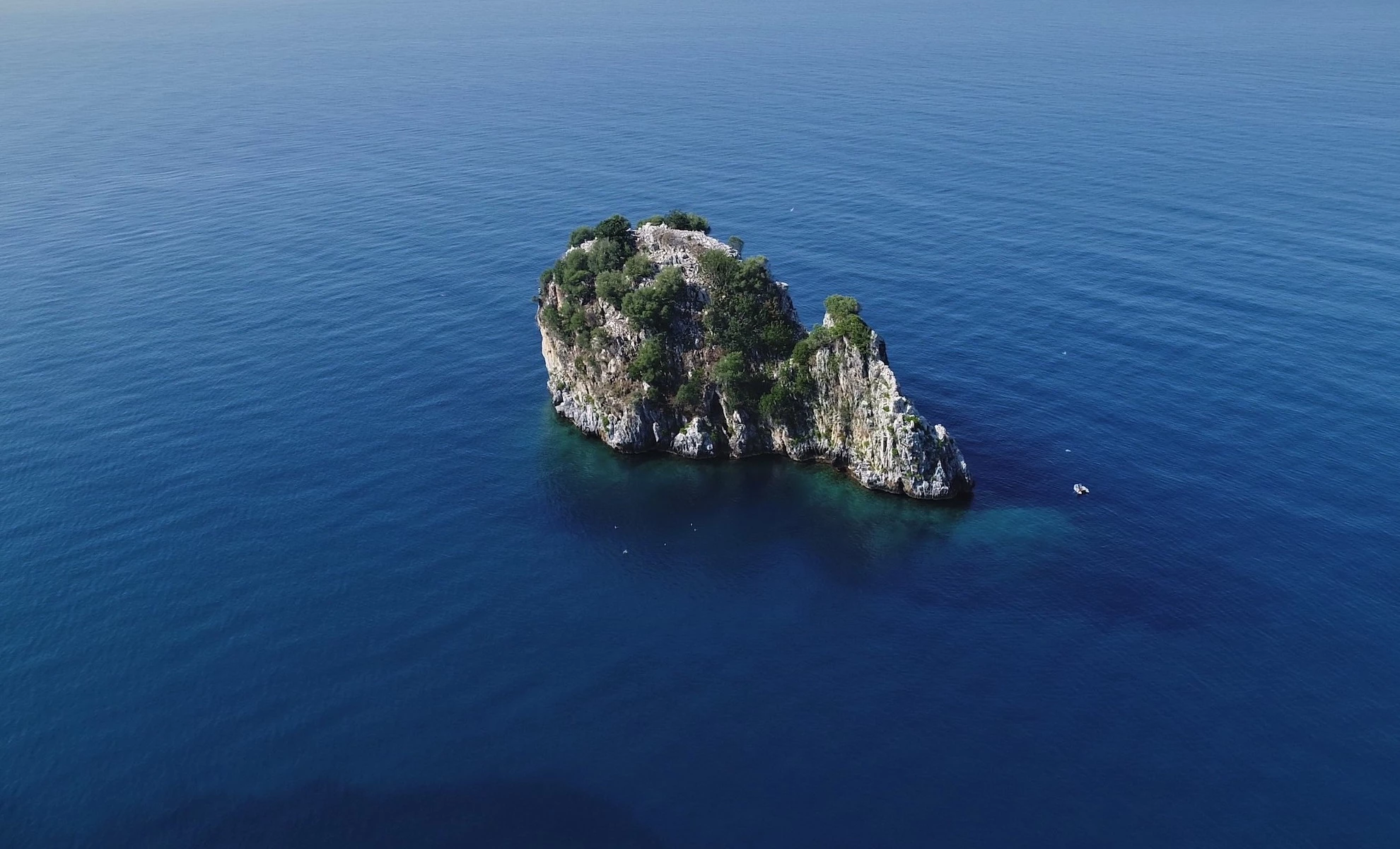 Un coniglio in mezzo al mare