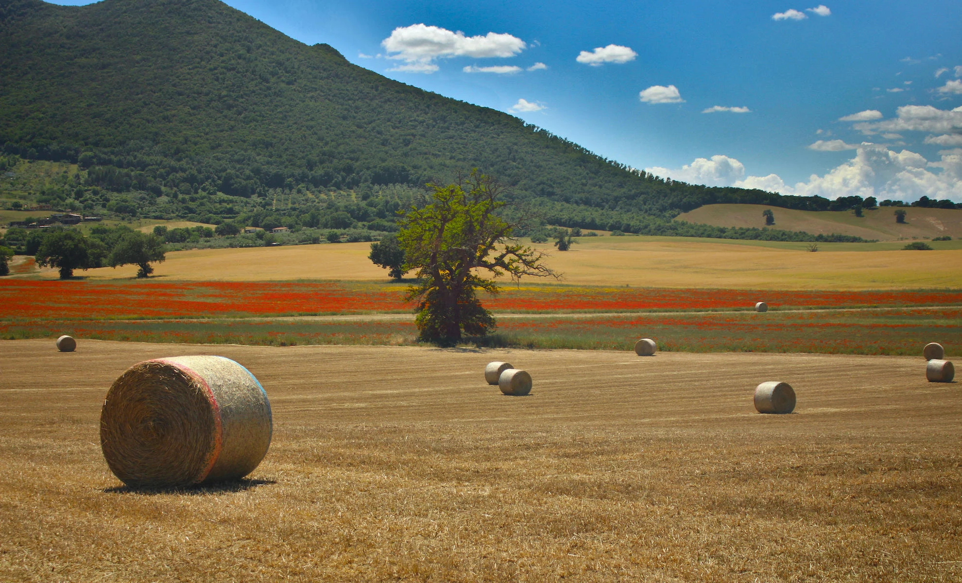 Le storie del Monte Soratte