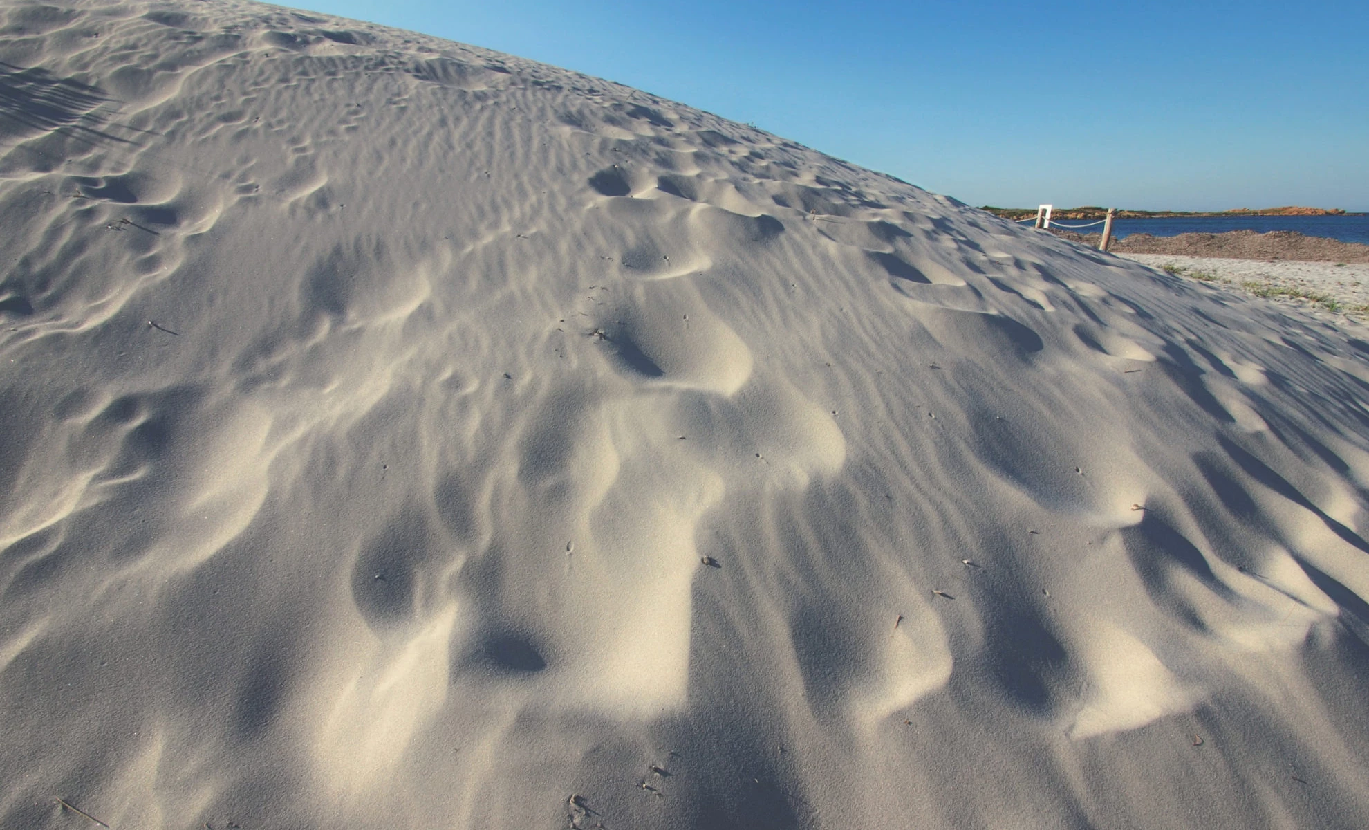 Dietro il faro, fra le dune