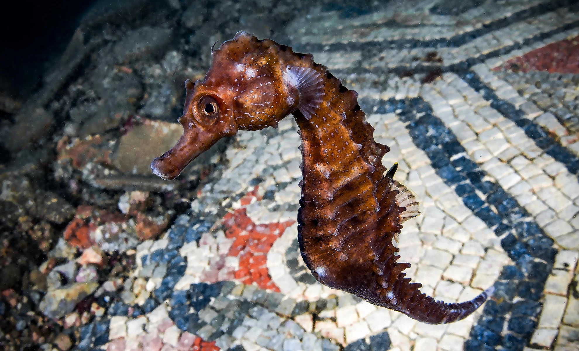 The submerged thermal baths