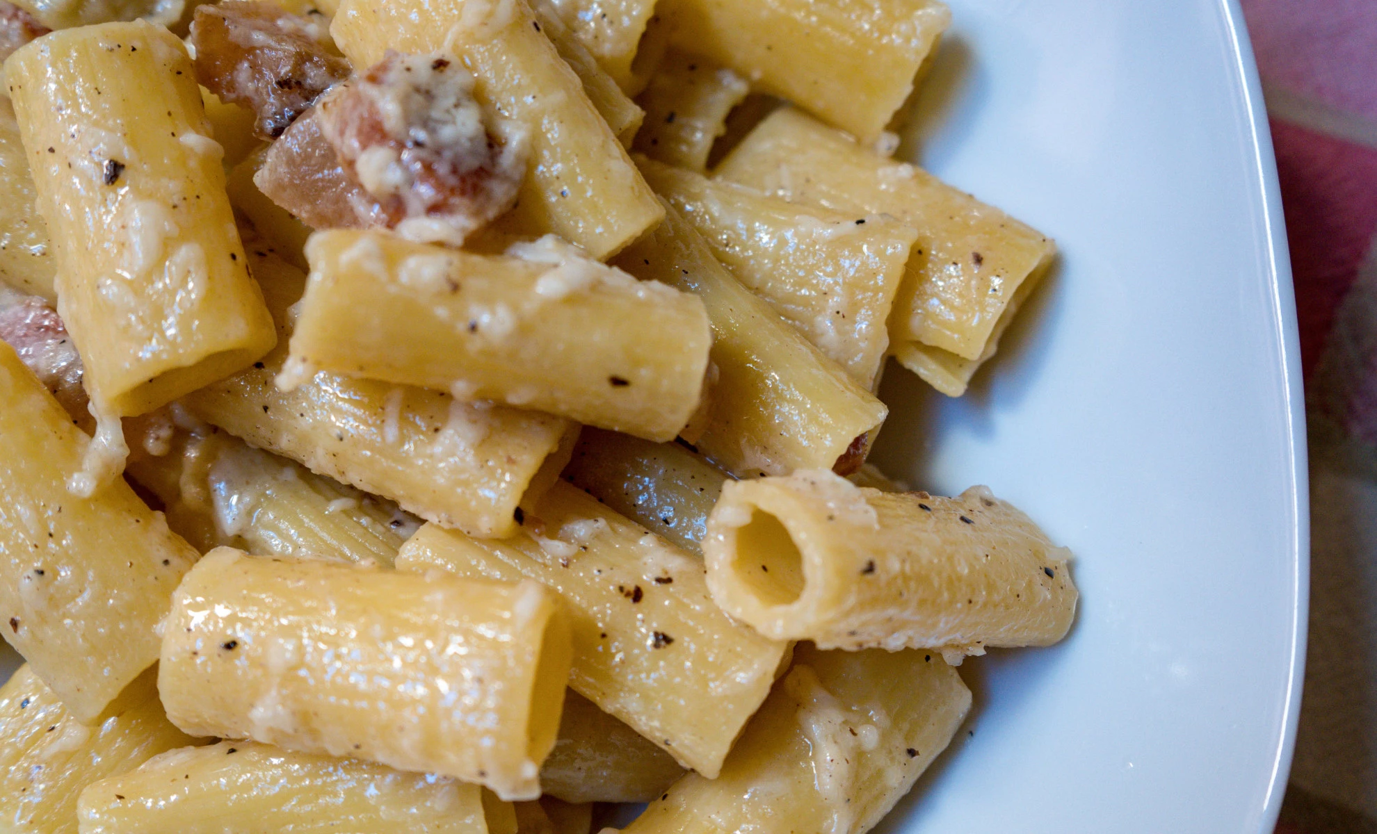 Journey into the flavors of Gricia