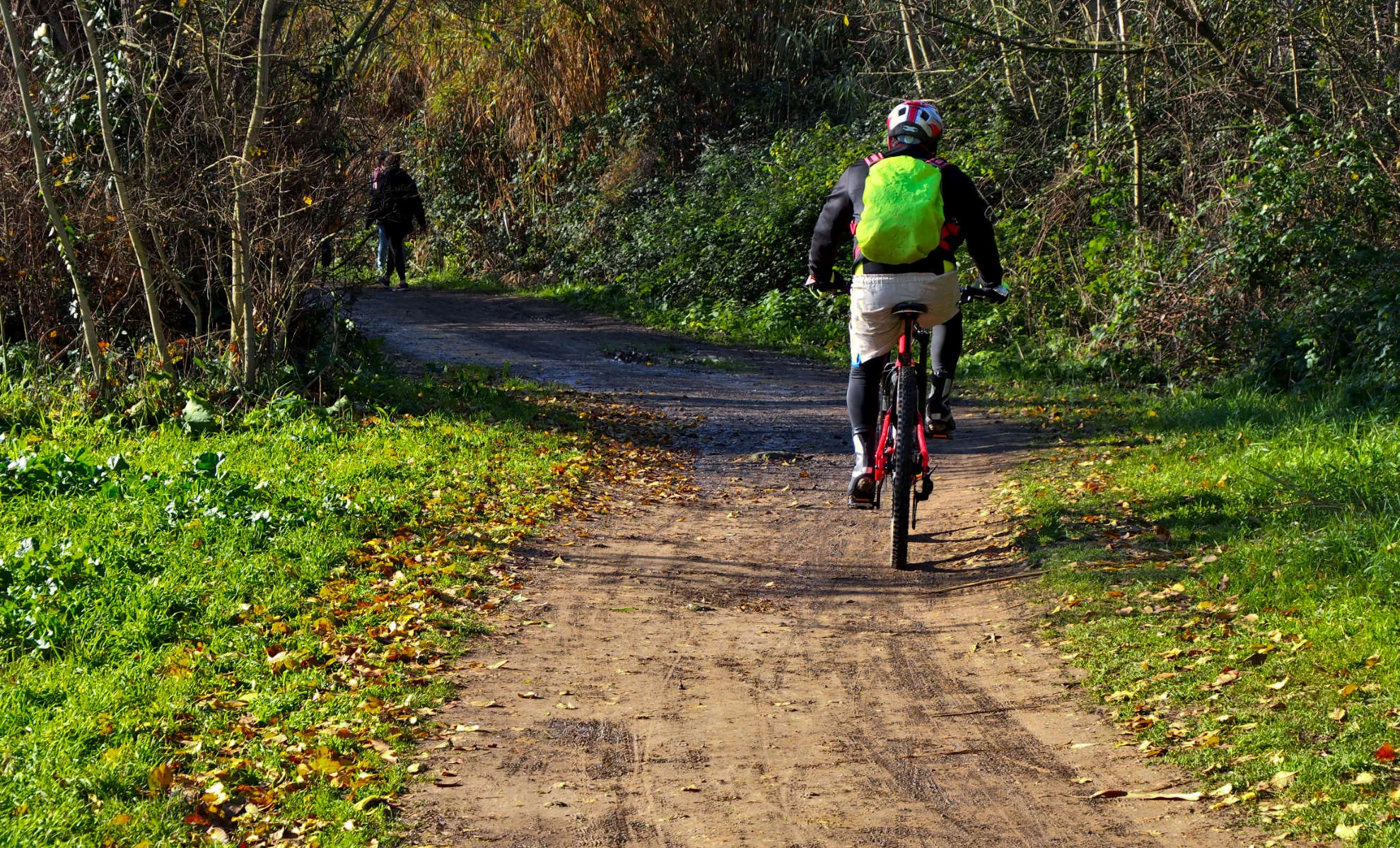 Un’idea di libertà