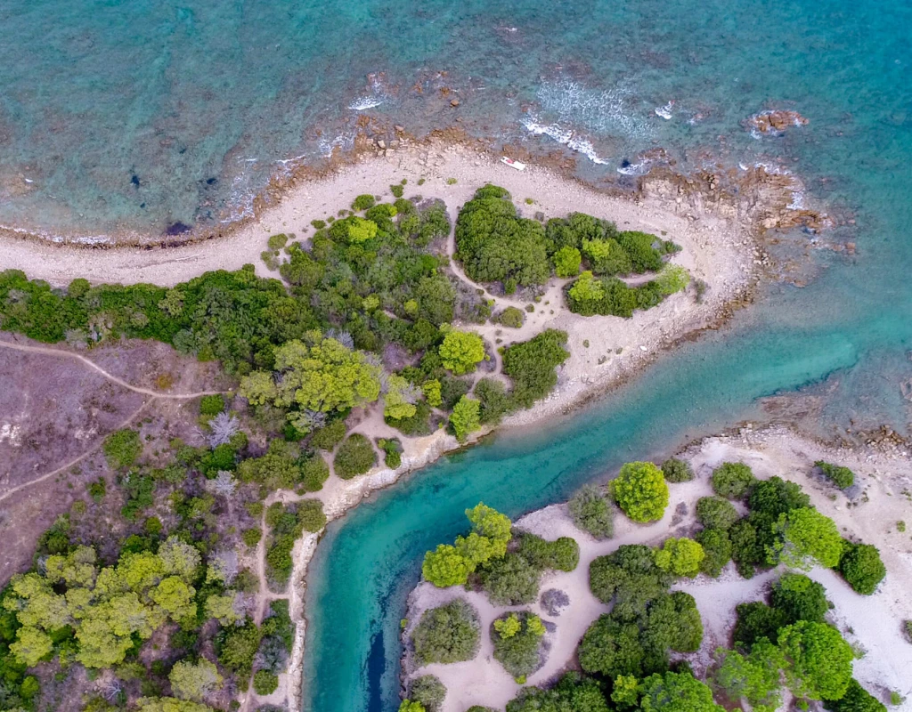 Un universo incontaminato