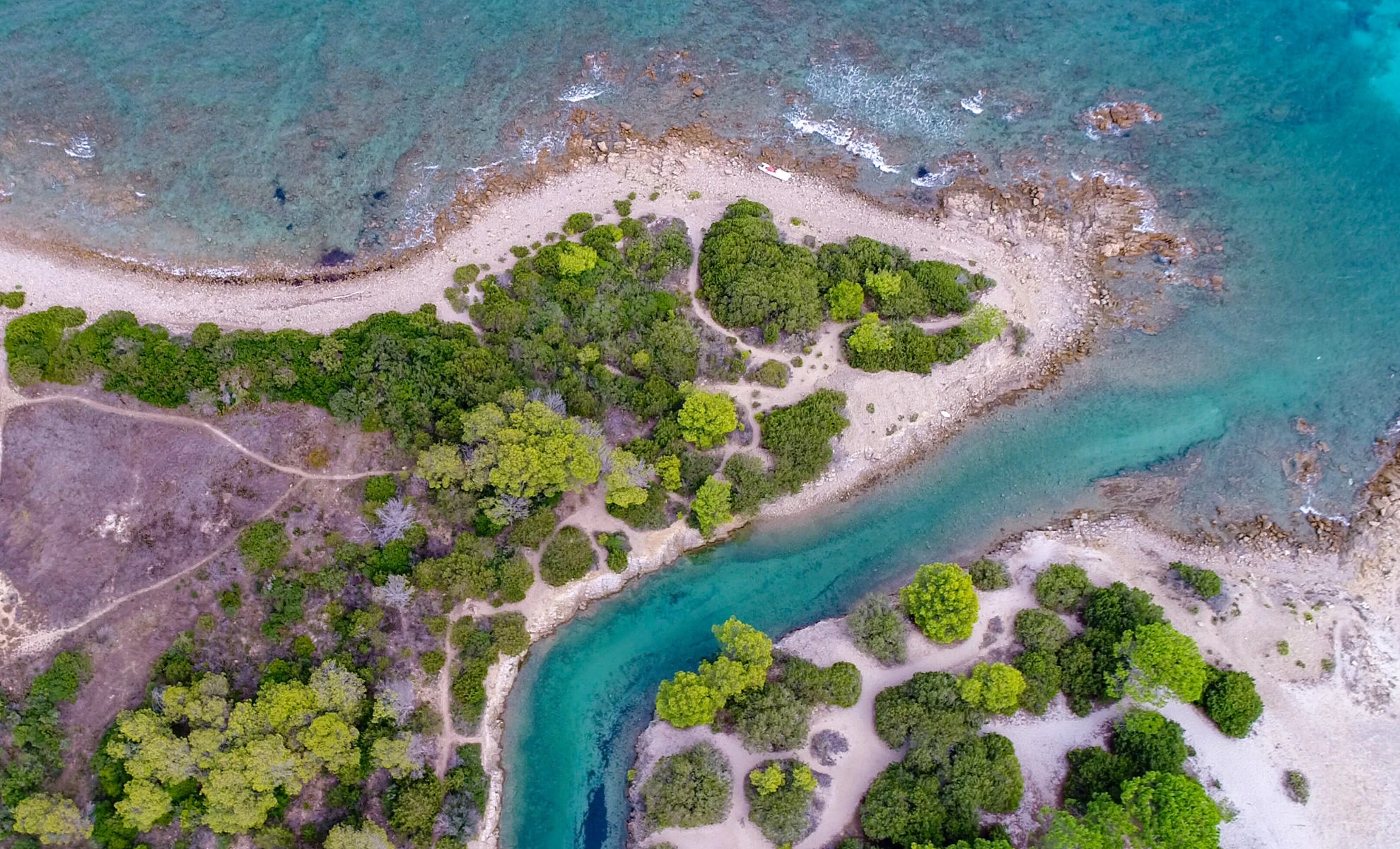 Un universo incontaminato