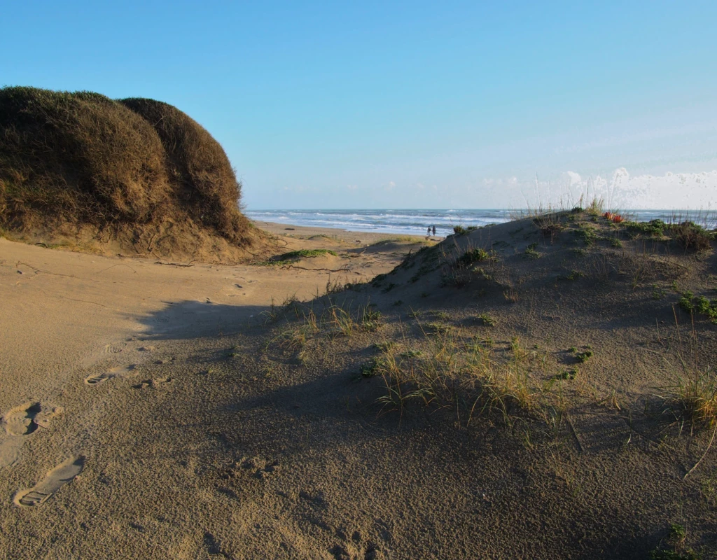 La libertà tra le dune