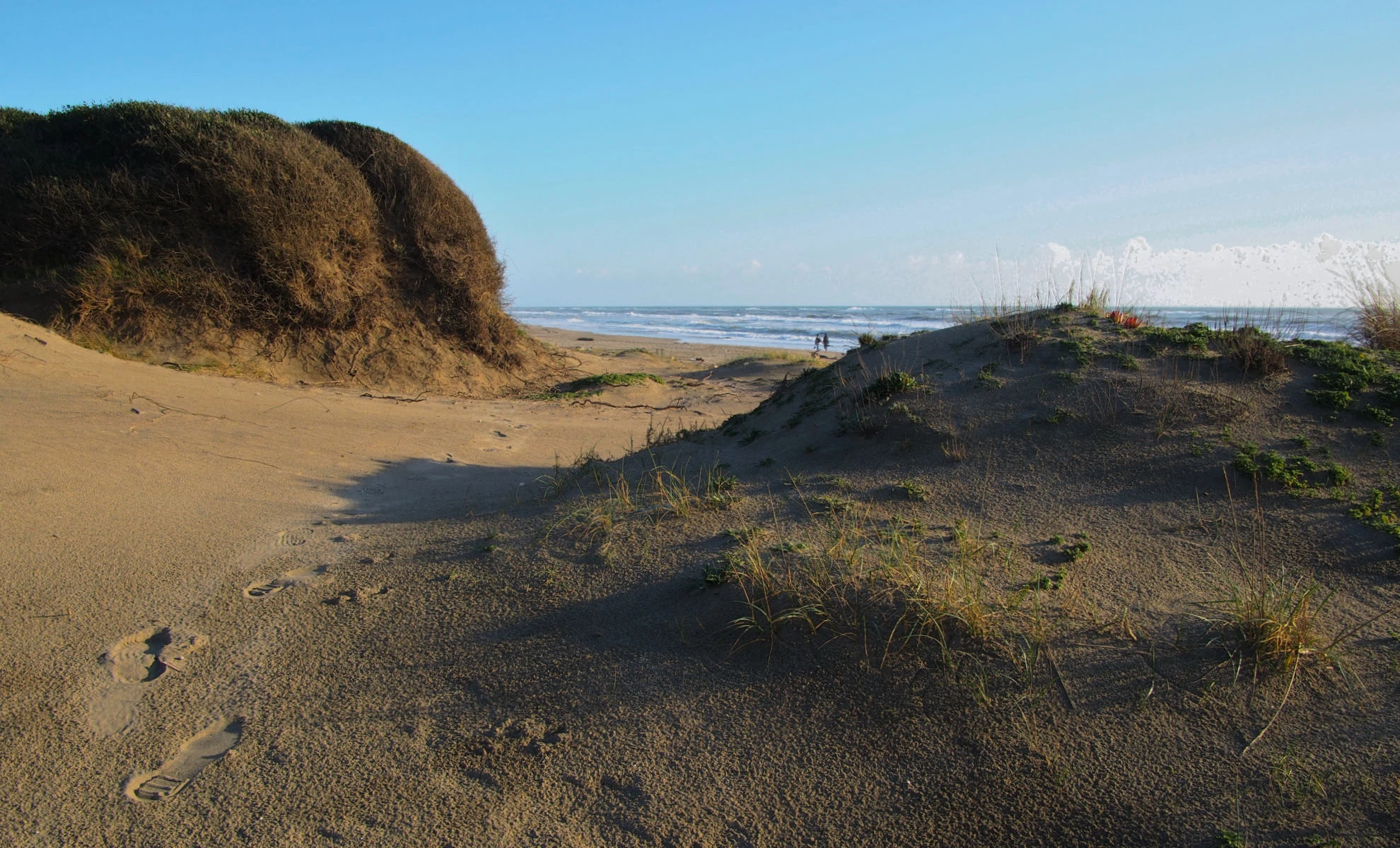 La libertà tra le dune