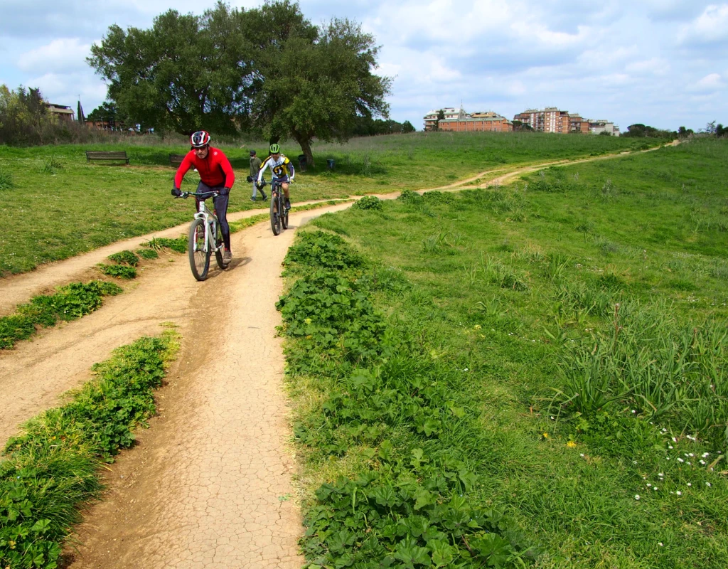 The refuge for cyclists