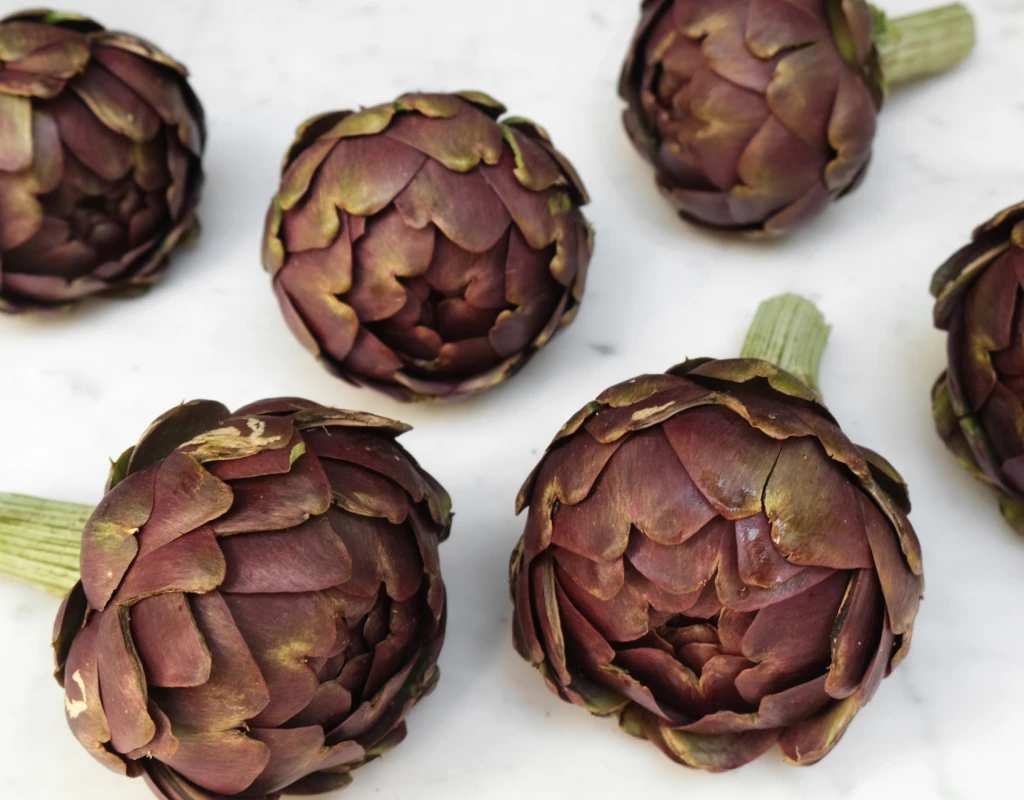 The Roman Artichoke