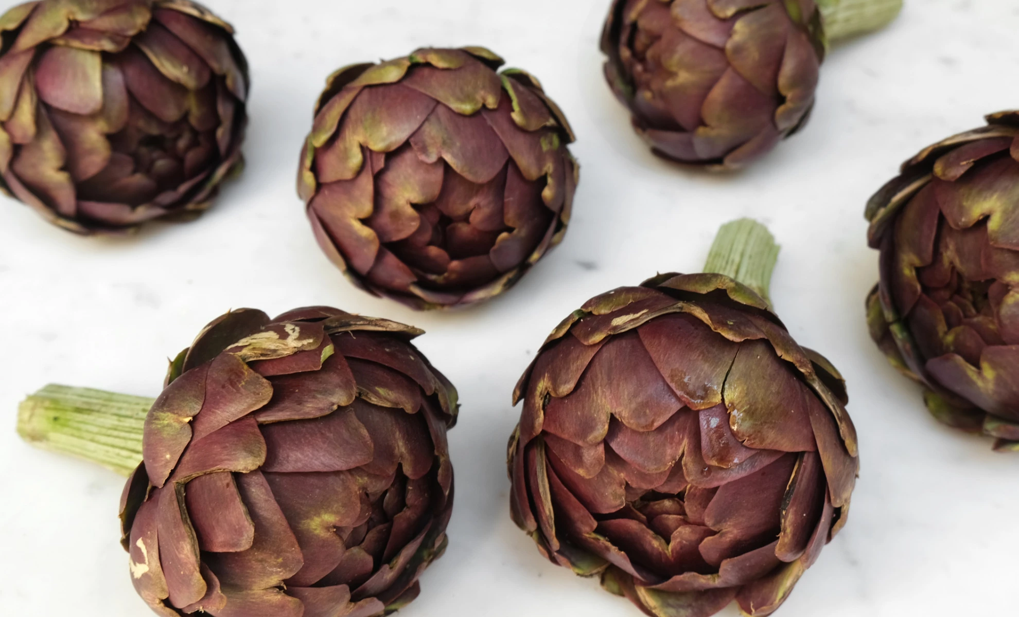 The Roman Artichoke