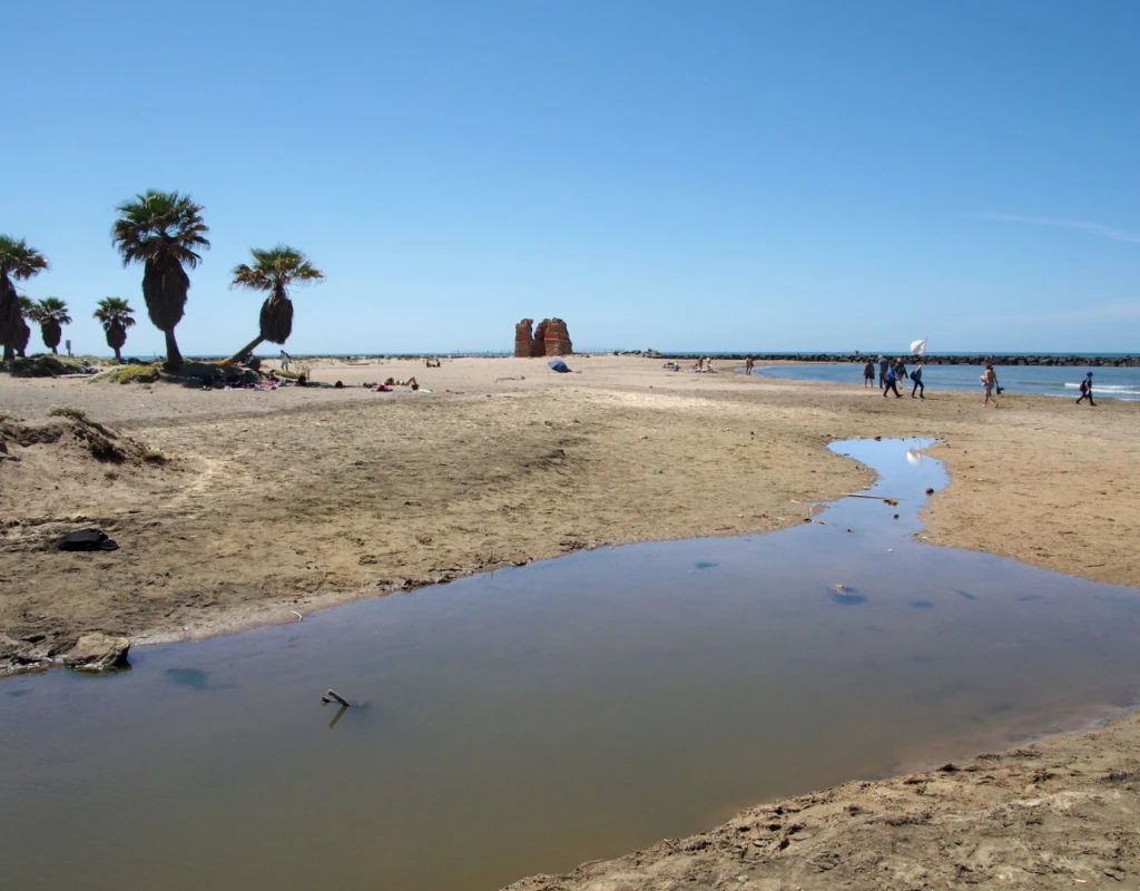 Le dune di Torre Flavia