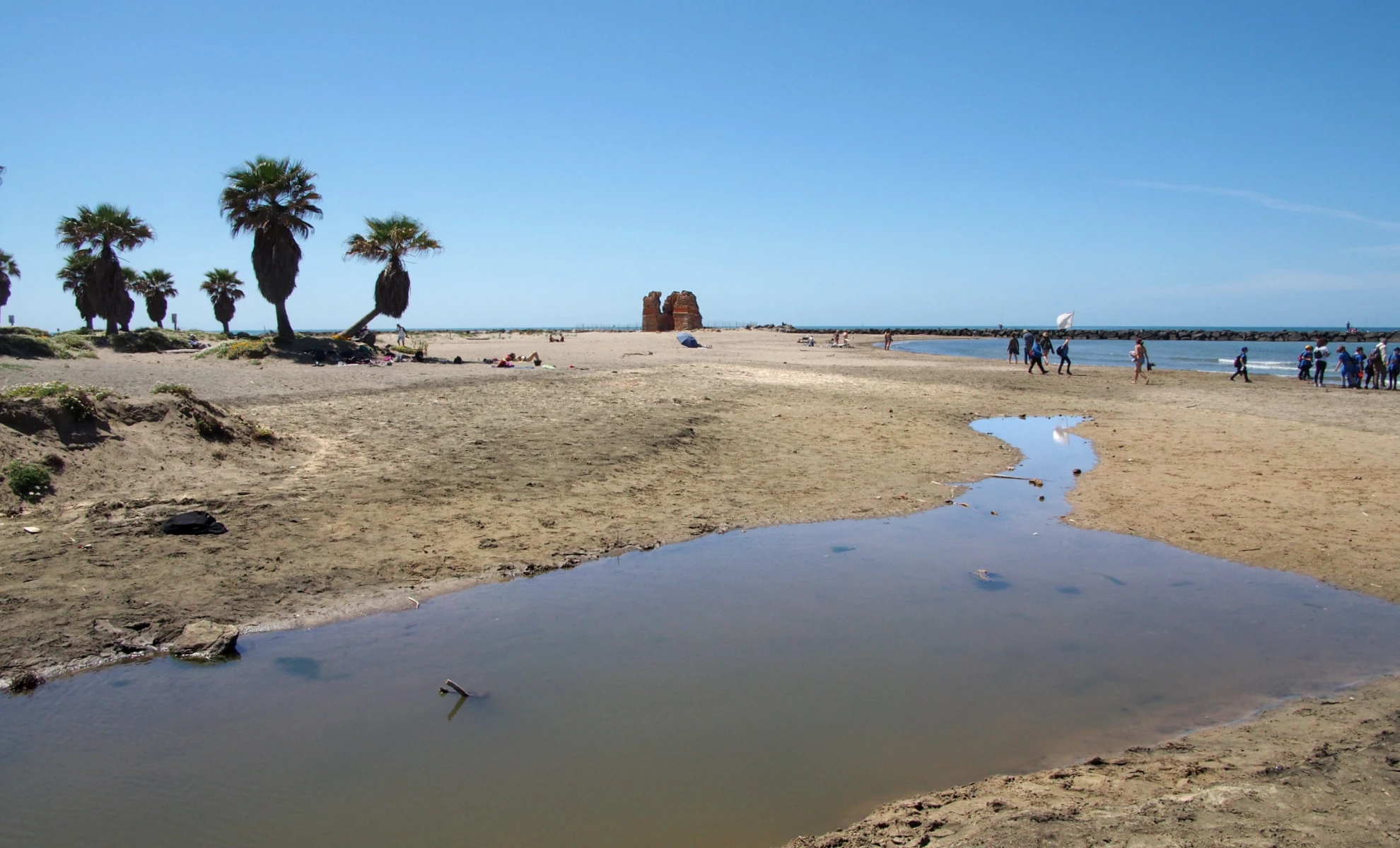 Le dune di Torre Flavia