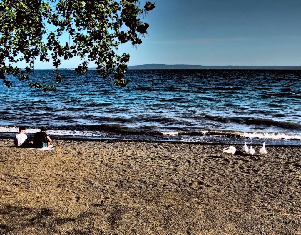 Summer at the lake