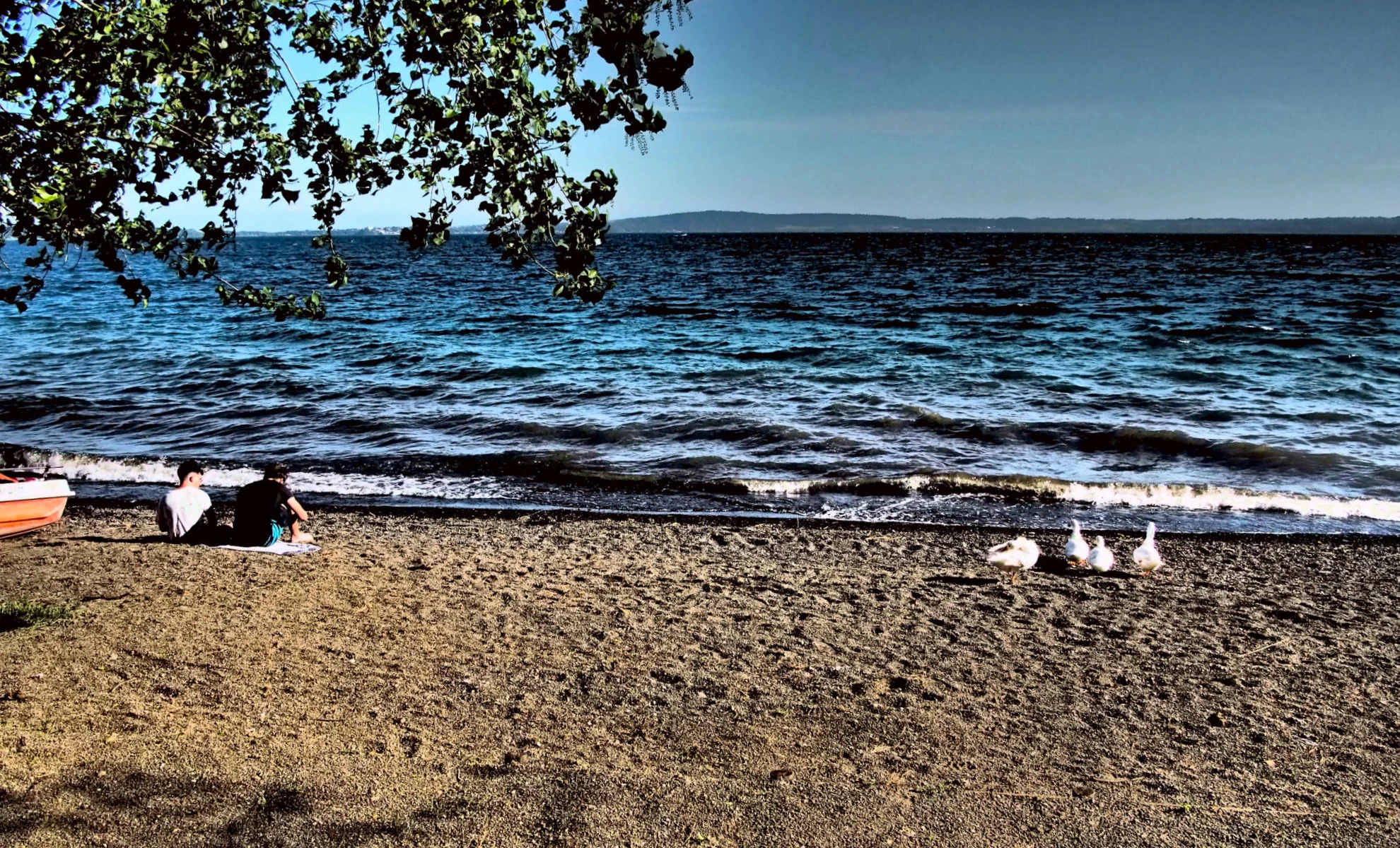Summer at the lake