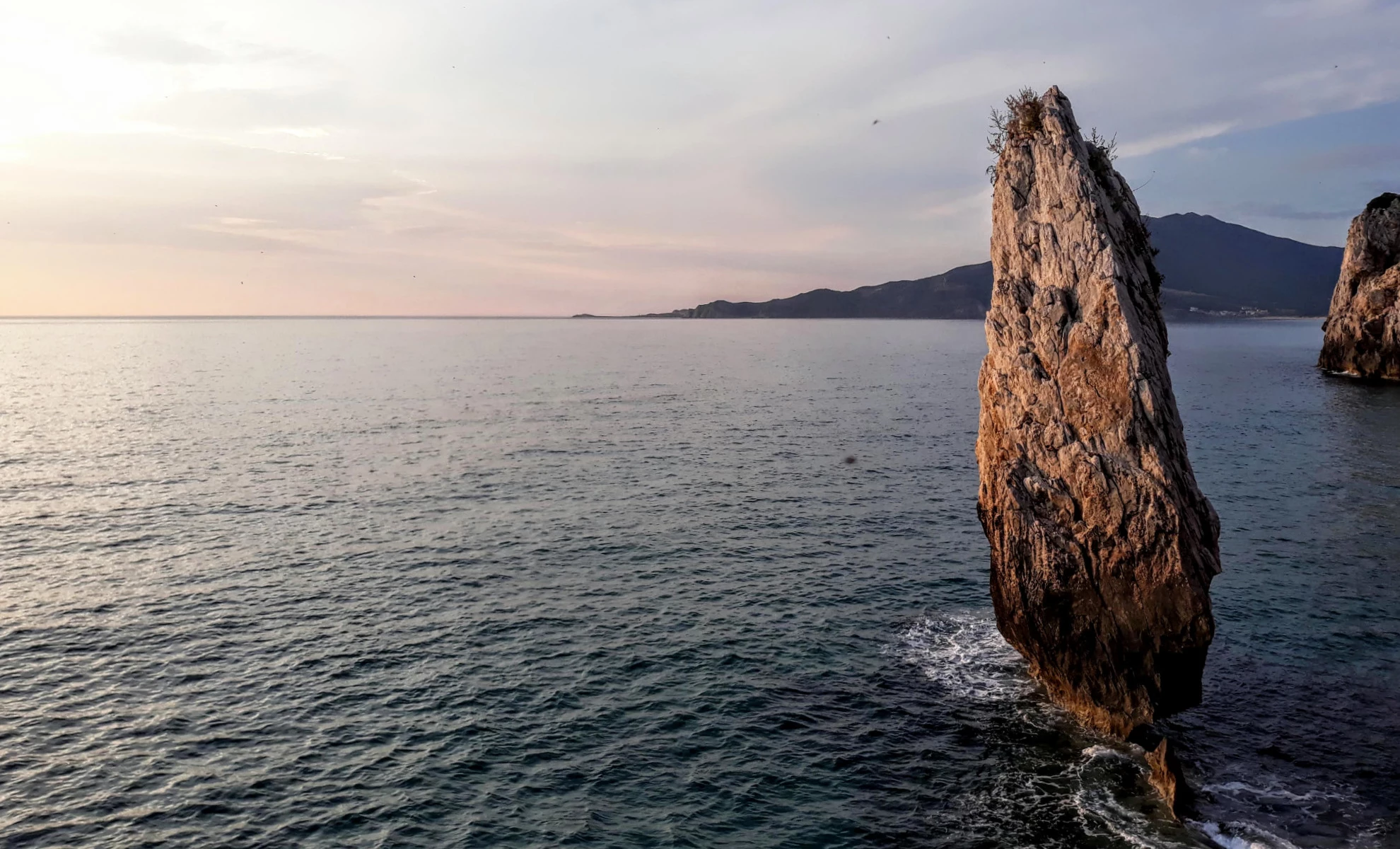 Un'aquila in mezzo al mare