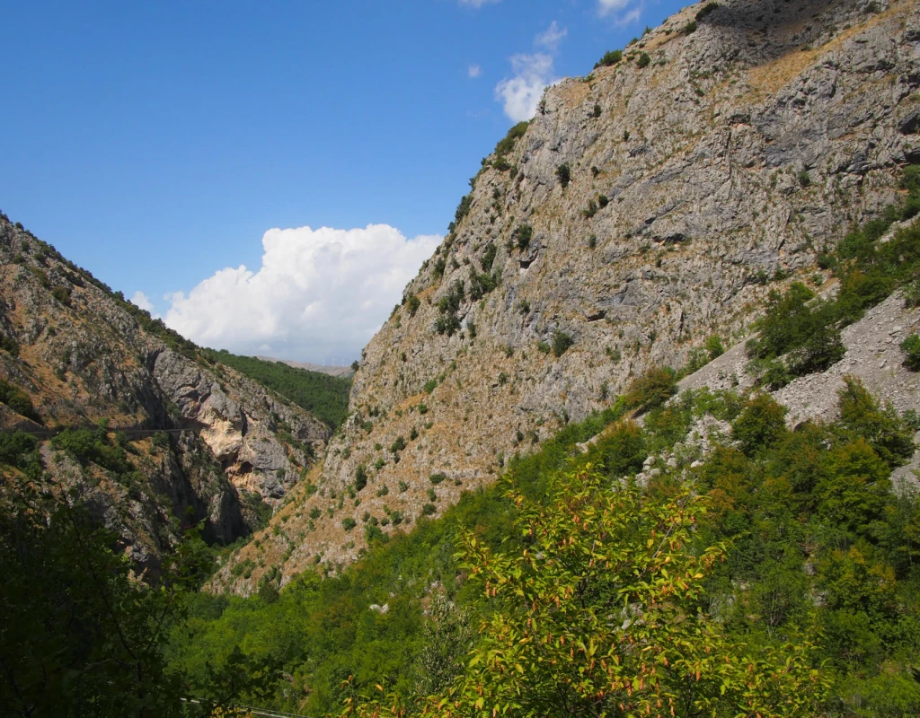 The biodiversity of the Sagittario Valley