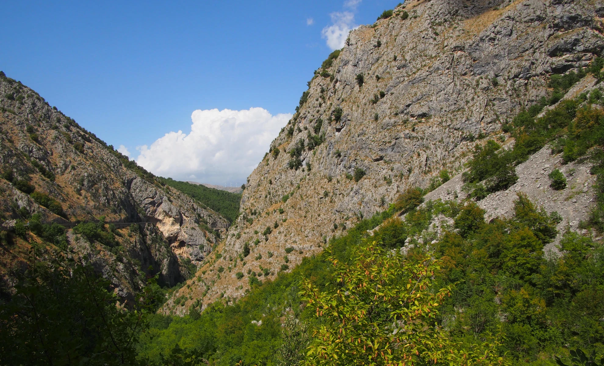 The biodiversity of the Sagittario Valley