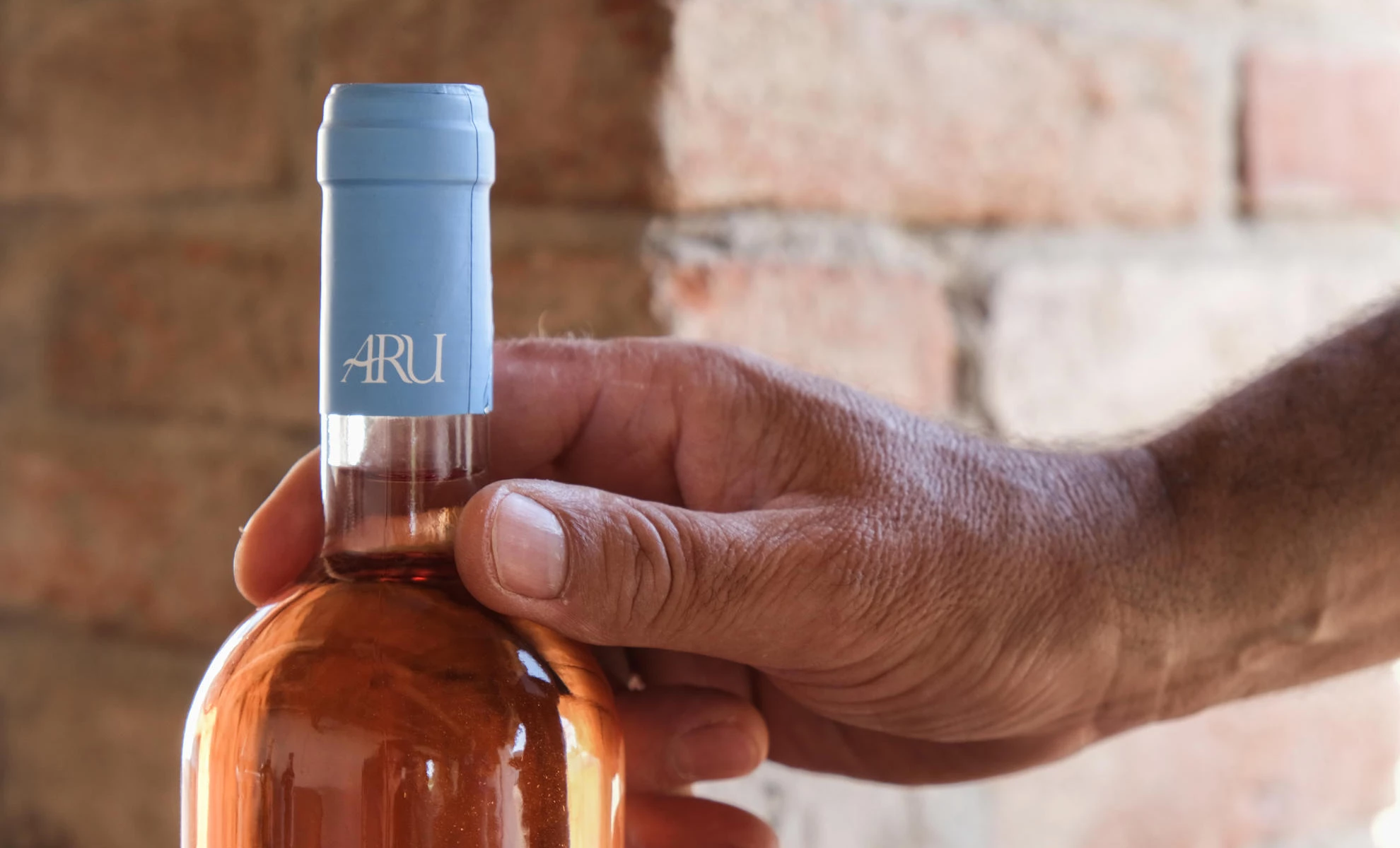 Un calice millenario in Sardegna