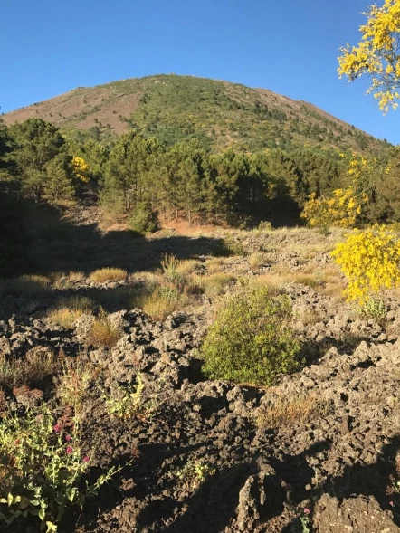 Il Vesuvio dei Borbone: trekking al tramonto