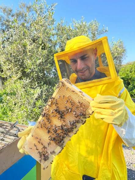Massa Lubrense: bee-trek alla scoperta del miele