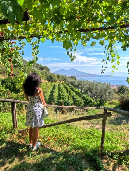 Passeggiata al tramonto nella Vigna di San Martino
