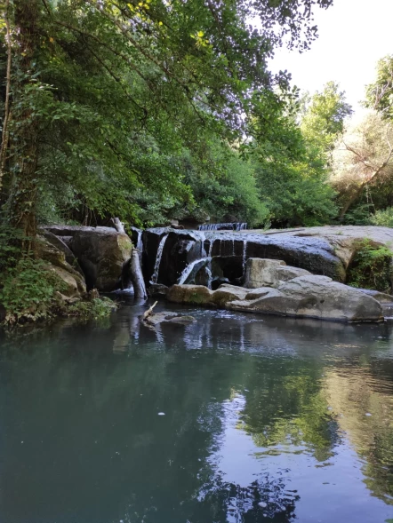 Nel bosco magico di Chia