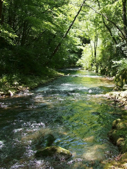 Trekking lungo il fiume Farfa