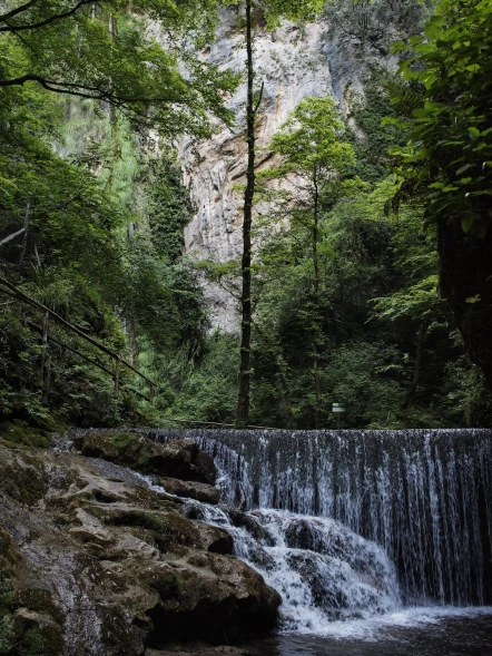 La Foresta incantata: la Valle delle Ferriere