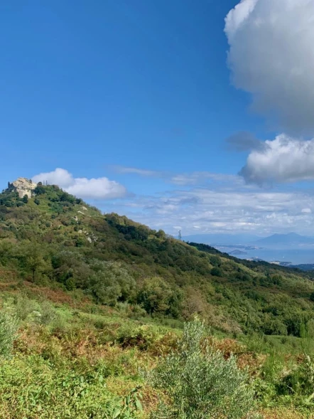 Sulla cima di Ischia: trekking sul Monte Epomeo