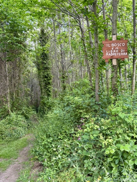 Il Bosco della Salandra: un tesoro nascosto a Marano